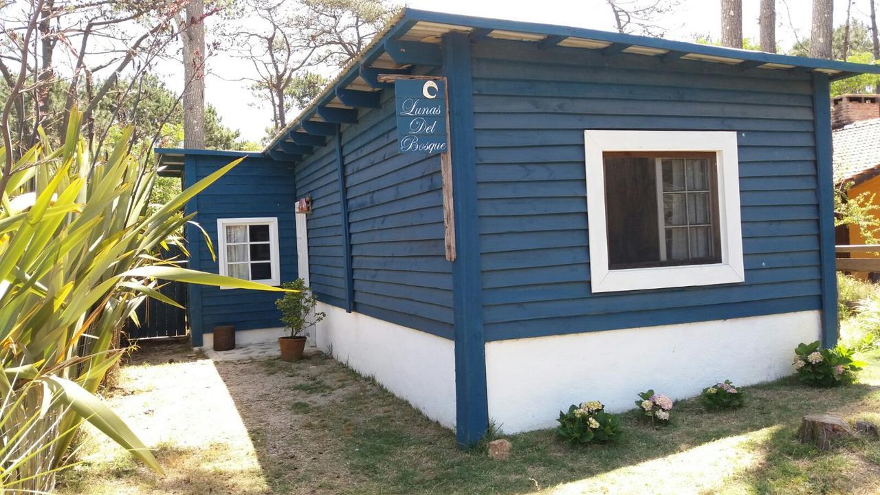Lunas Del Bosque Cabana Y Apartamento En Suite Ла Палома Екстериор снимка
