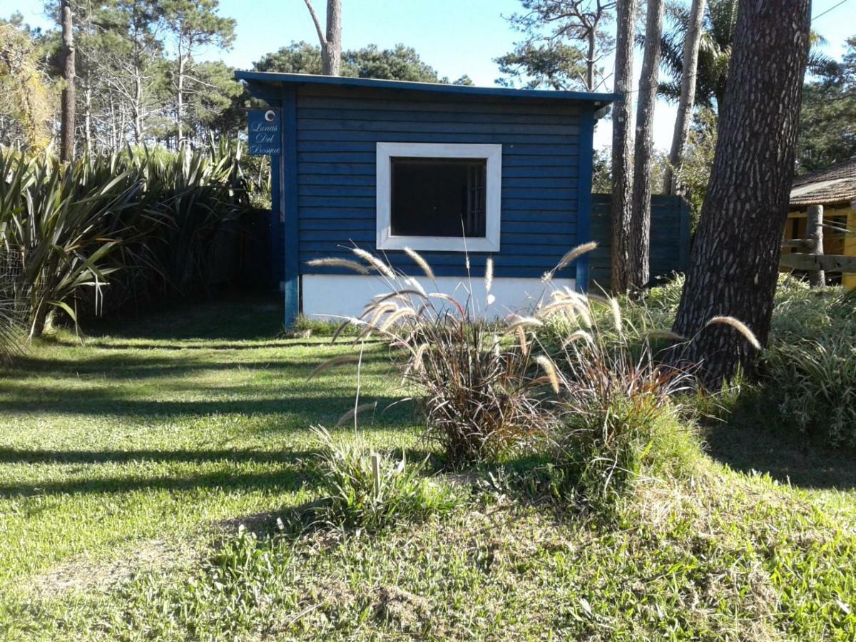 Lunas Del Bosque Cabana Y Apartamento En Suite Ла Палома Екстериор снимка